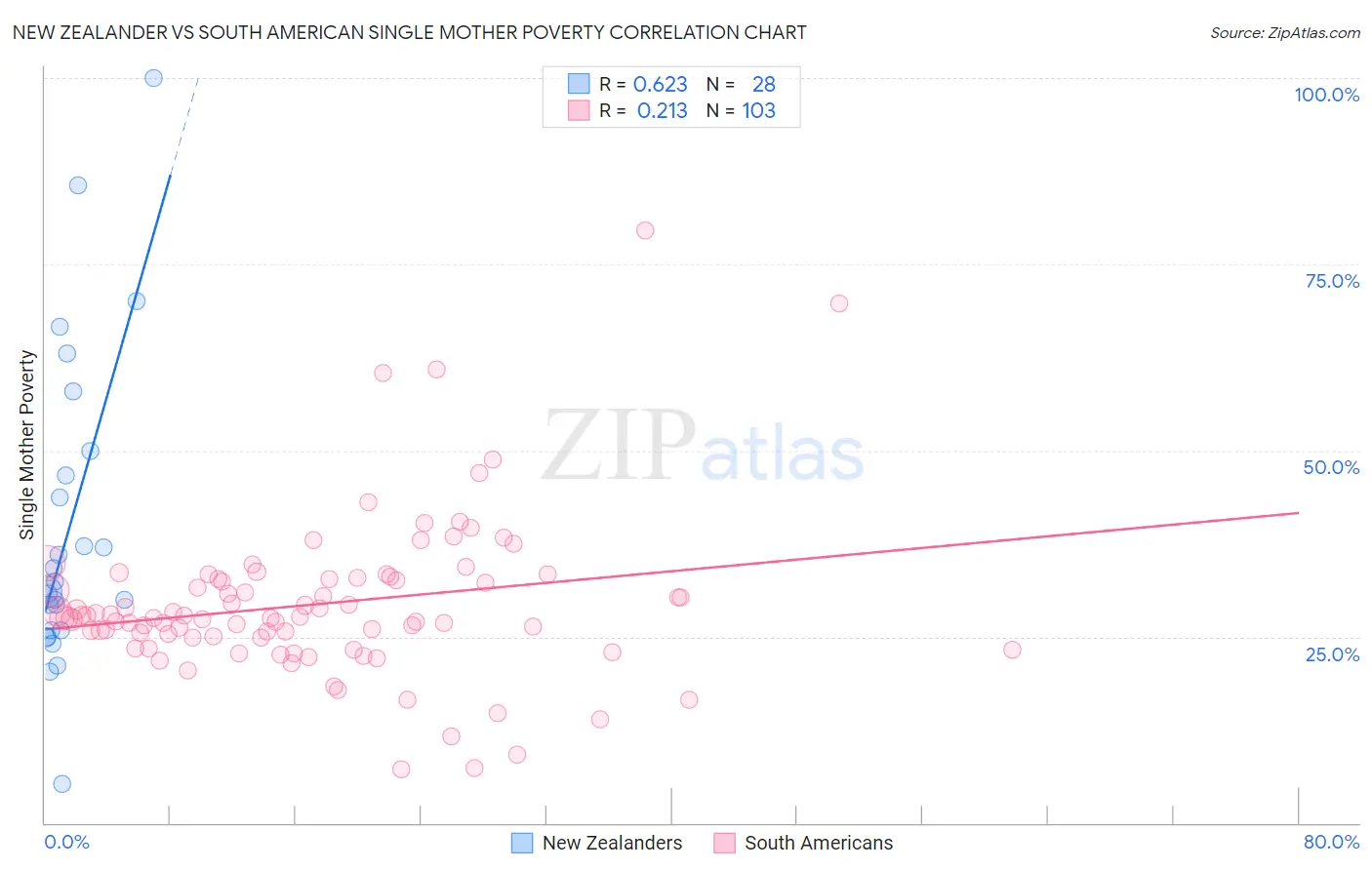 New Zealander vs South American Single Mother Poverty