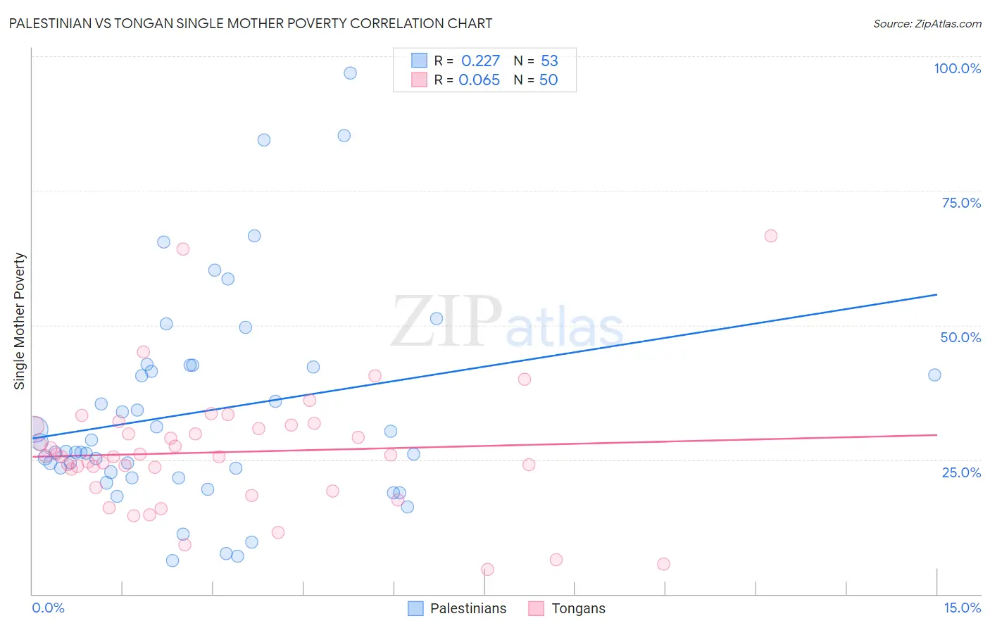 Palestinian vs Tongan Single Mother Poverty