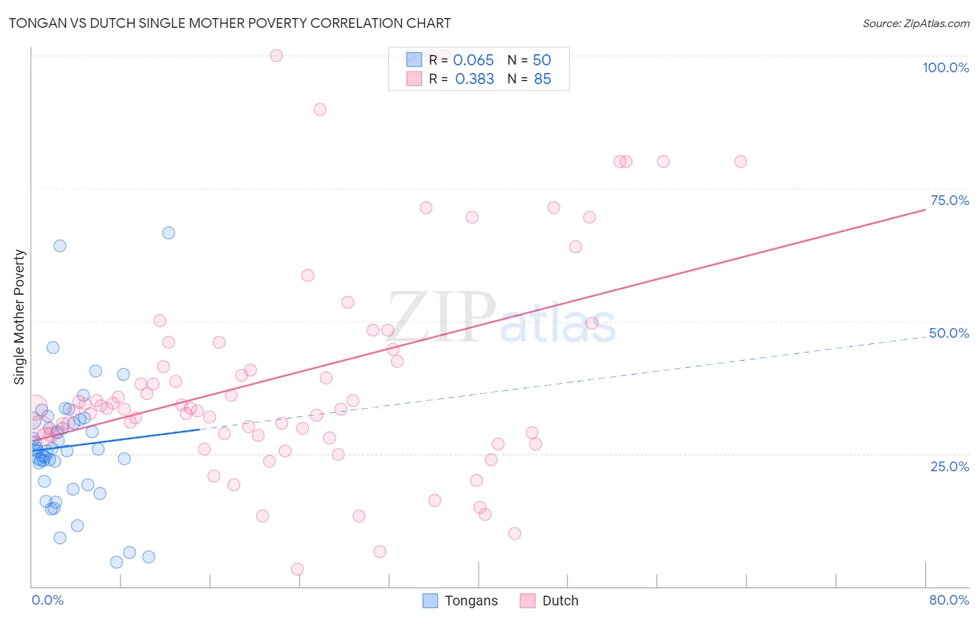 Tongan vs Dutch Single Mother Poverty