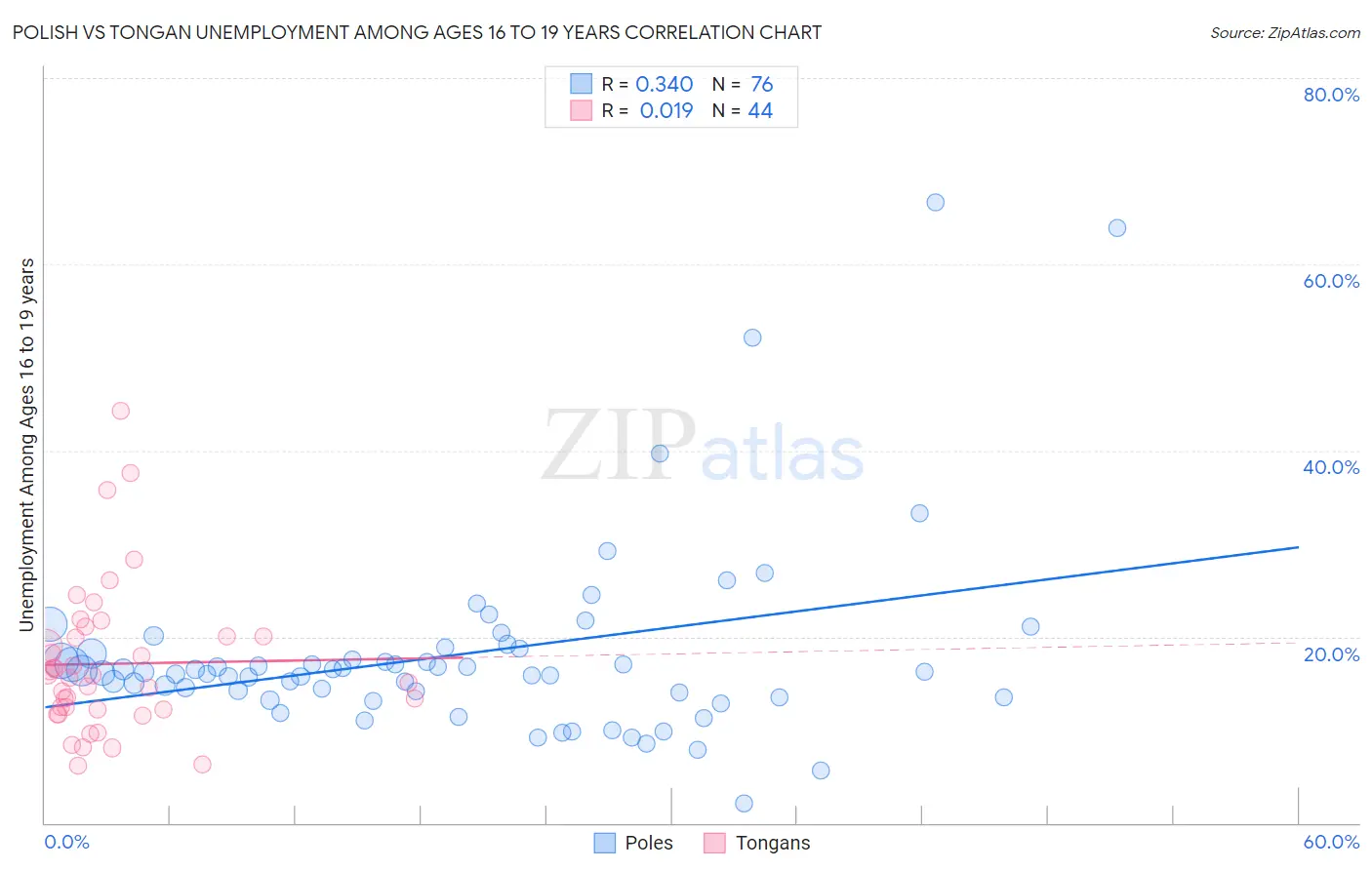 Polish vs Tongan Unemployment Among Ages 16 to 19 years