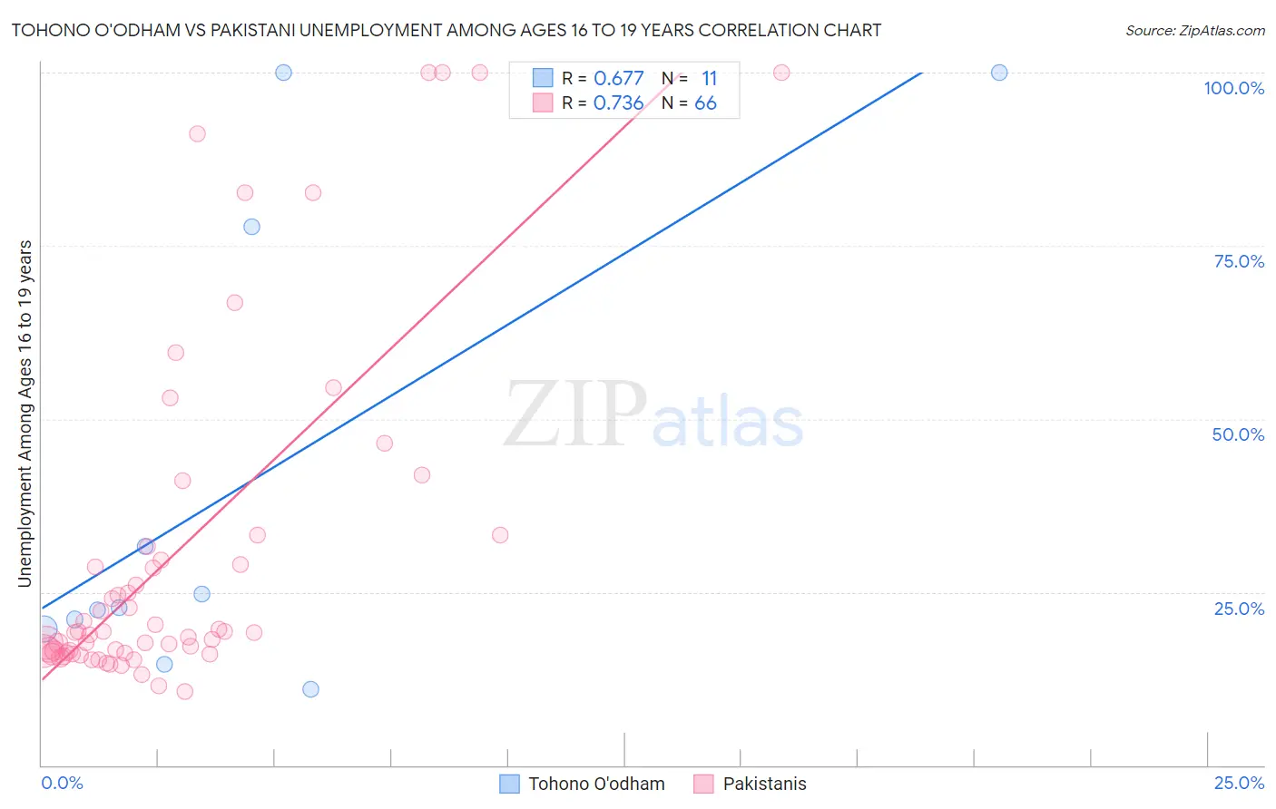 Tohono O'odham vs Pakistani Unemployment Among Ages 16 to 19 years