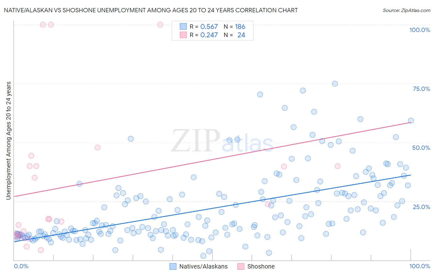 Native/Alaskan vs Shoshone Unemployment Among Ages 20 to 24 years