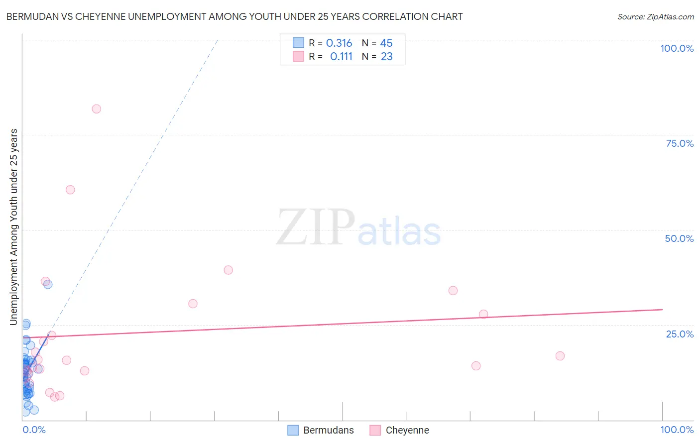 Bermudan vs Cheyenne Unemployment Among Youth under 25 years