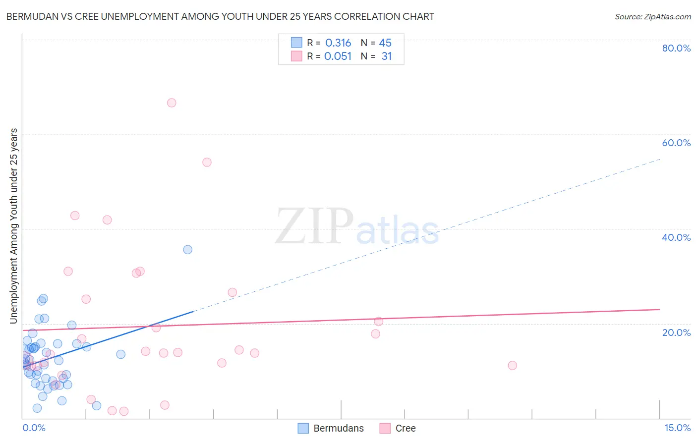 Bermudan vs Cree Unemployment Among Youth under 25 years