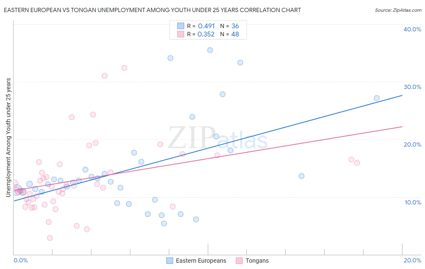 Eastern European vs Tongan Unemployment Among Youth under 25 years