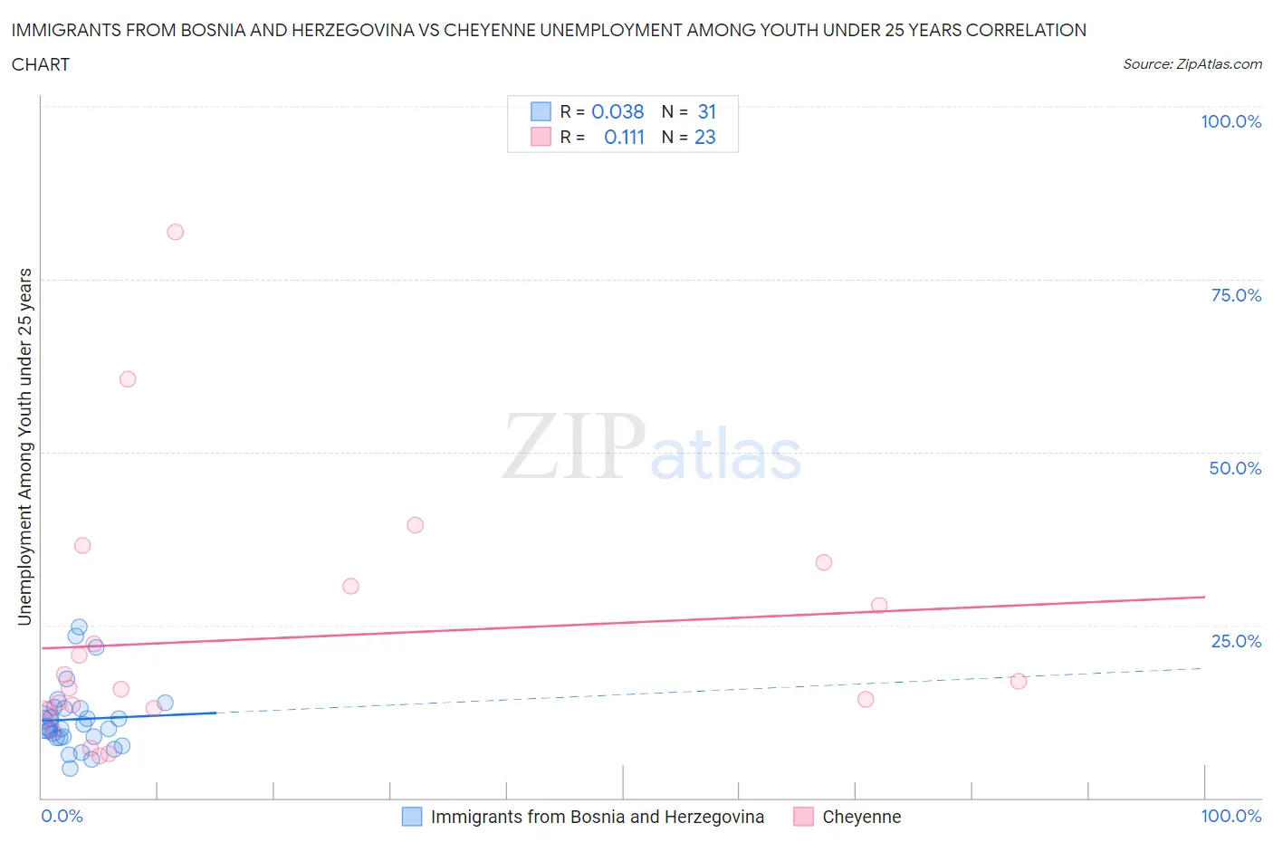 Immigrants from Bosnia and Herzegovina vs Cheyenne Unemployment Among Youth under 25 years