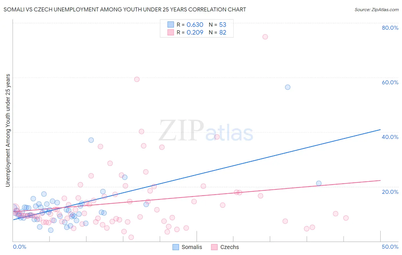 Somali vs Czech Unemployment Among Youth under 25 years