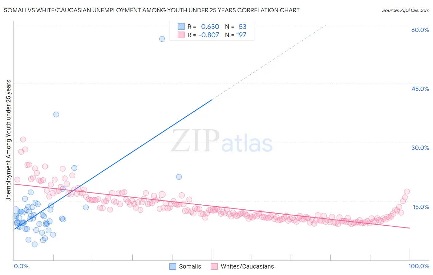 Somali vs White/Caucasian Unemployment Among Youth under 25 years