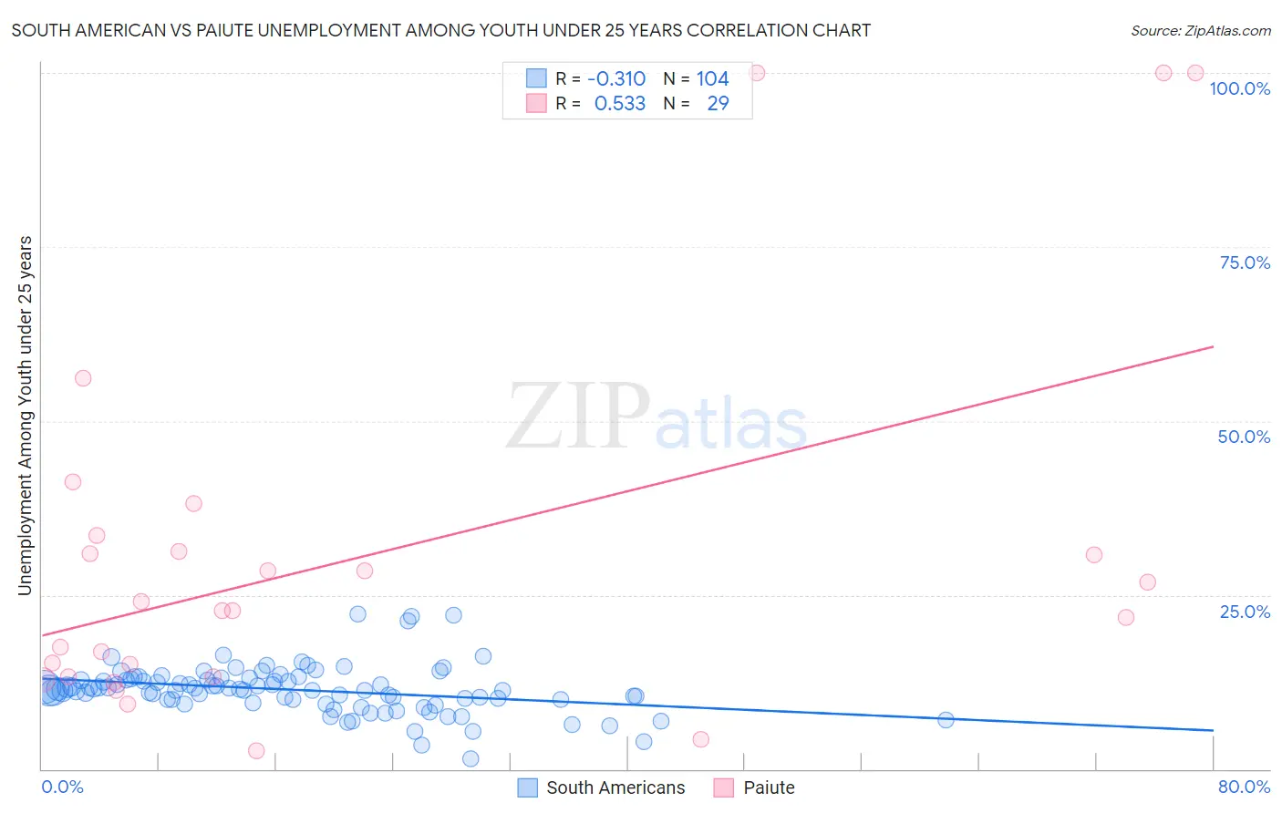 South American vs Paiute Unemployment Among Youth under 25 years