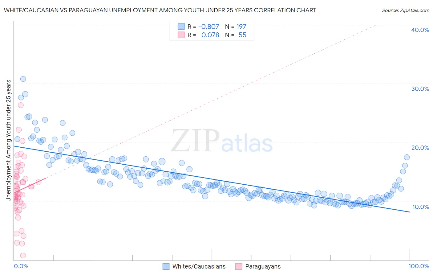 White/Caucasian vs Paraguayan Unemployment Among Youth under 25 years