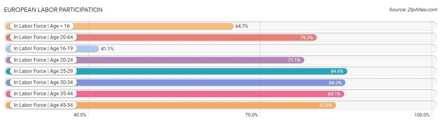 European Labor Participation