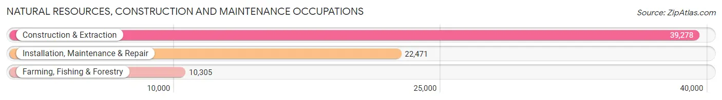 Natural Resources, Construction and Maintenance Occupations in Area Code 207