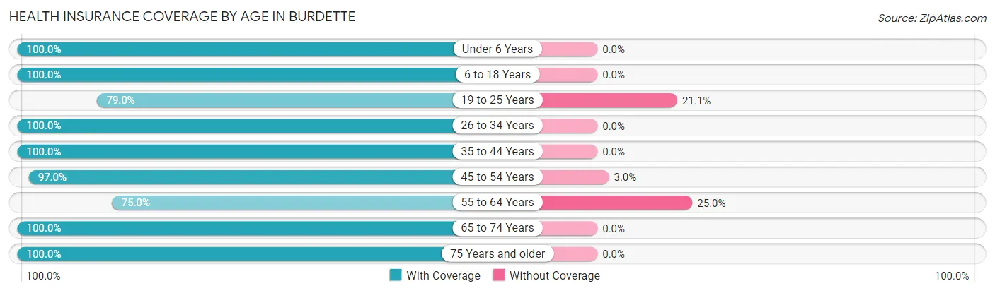Health Insurance Coverage by Age in Burdette