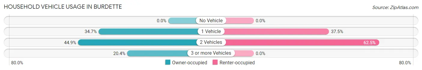 Household Vehicle Usage in Burdette