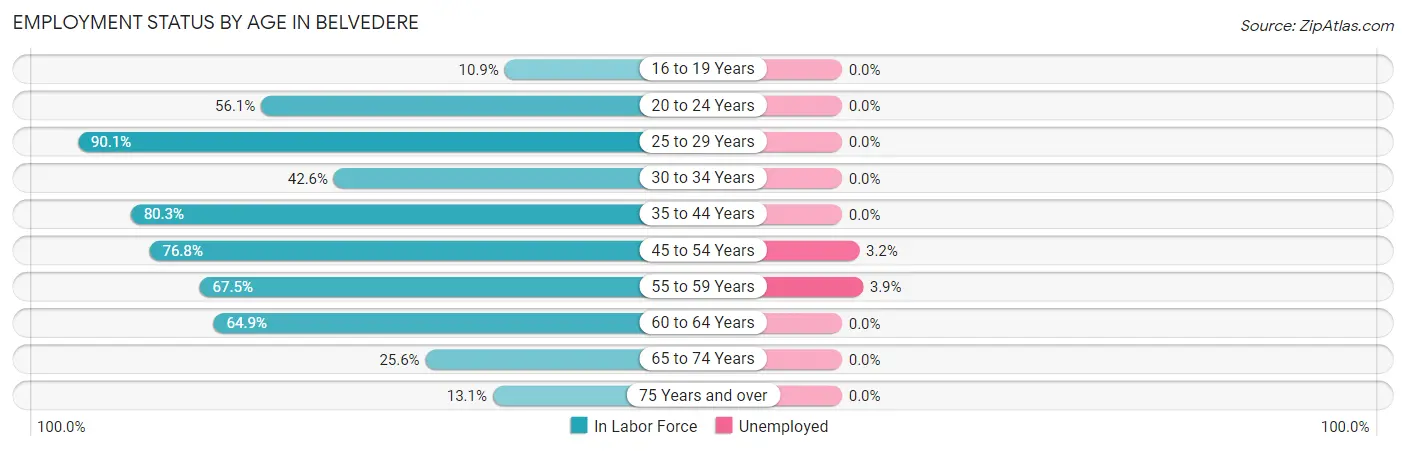 Employment Status by Age in Belvedere