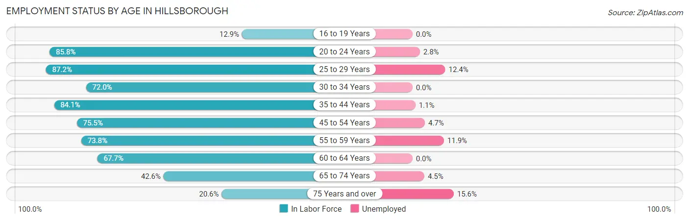 Employment Status by Age in Hillsborough