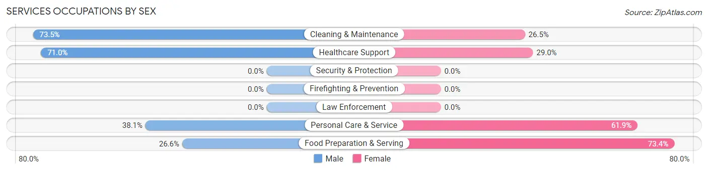 Services Occupations by Sex in Hillsborough