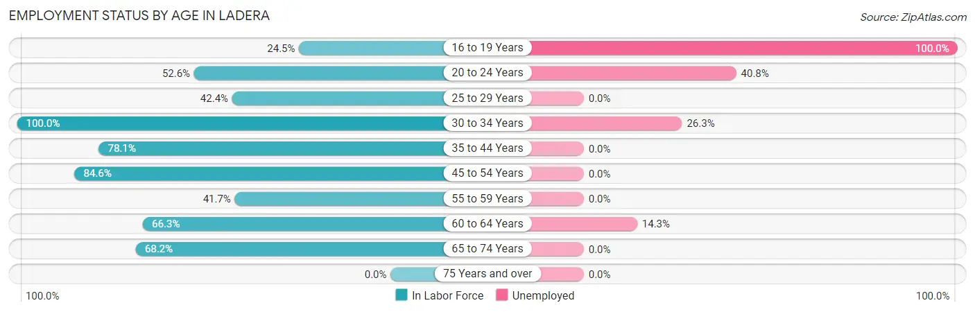 Employment Status by Age in Ladera