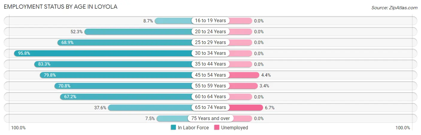 Employment Status by Age in Loyola