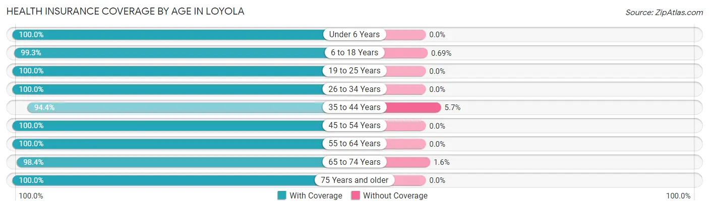 Health Insurance Coverage by Age in Loyola