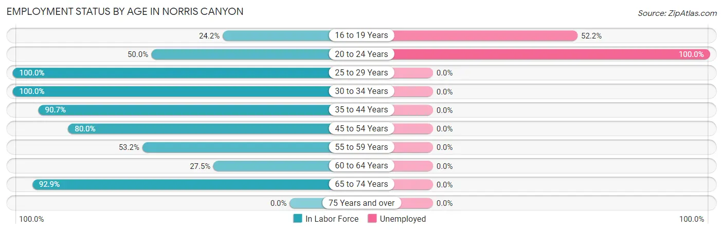 Employment Status by Age in Norris Canyon