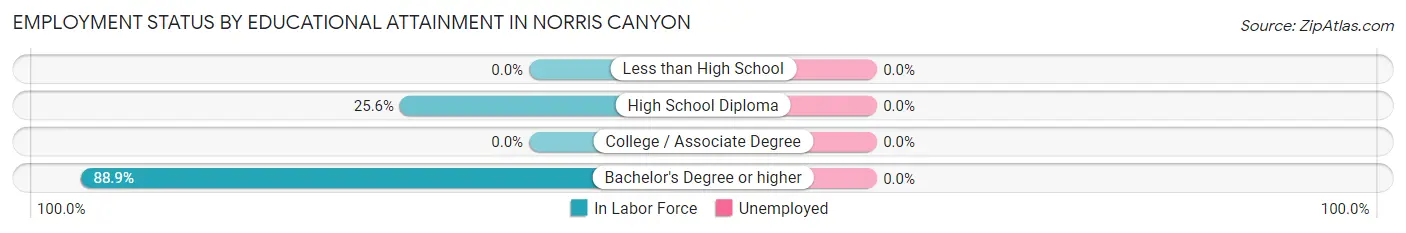 Employment Status by Educational Attainment in Norris Canyon