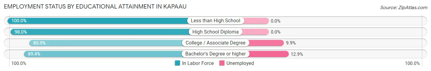 Employment Status by Educational Attainment in Kapaau