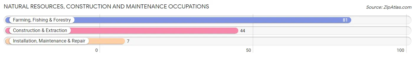 Natural Resources, Construction and Maintenance Occupations in Kapaau