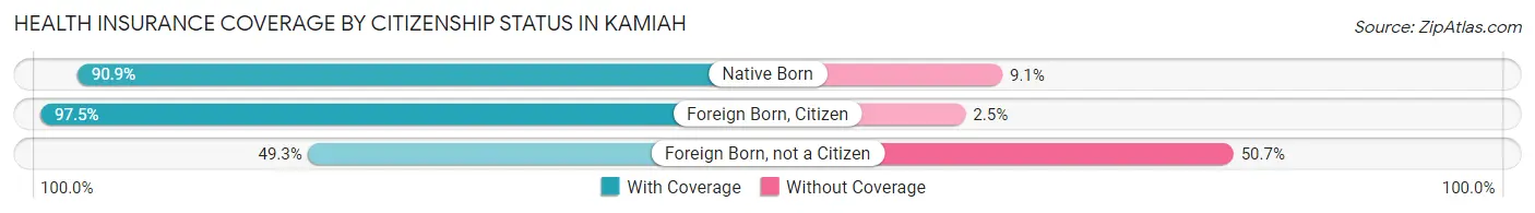 Health Insurance Coverage by Citizenship Status in Kamiah