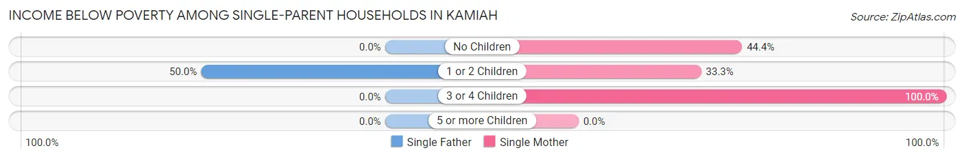 Income Below Poverty Among Single-Parent Households in Kamiah