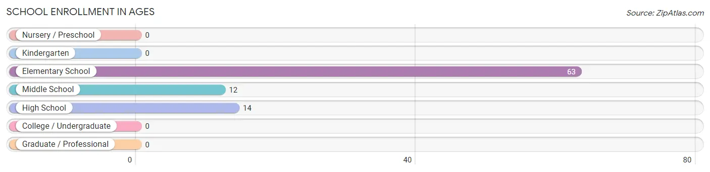School Enrollment in Ages