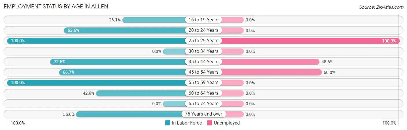 Employment Status by Age in Allen