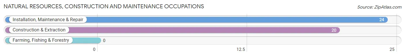Natural Resources, Construction and Maintenance Occupations in Auburn