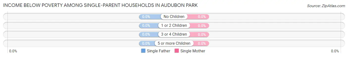 Income Below Poverty Among Single-Parent Households in Audubon Park