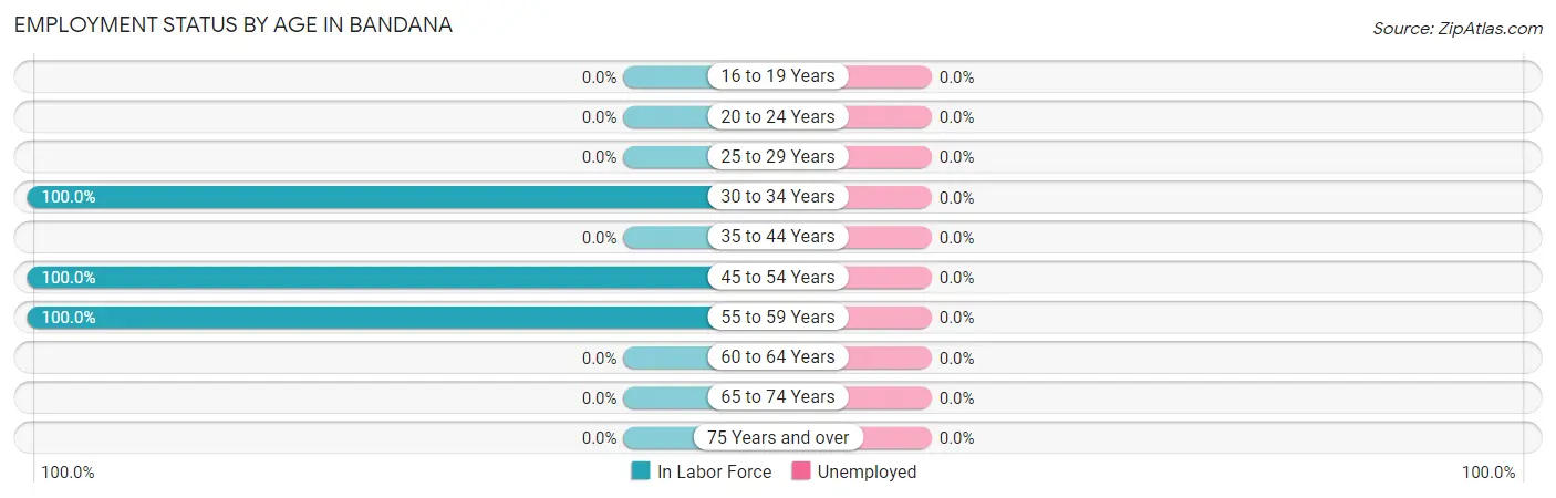 Employment Status by Age in Bandana