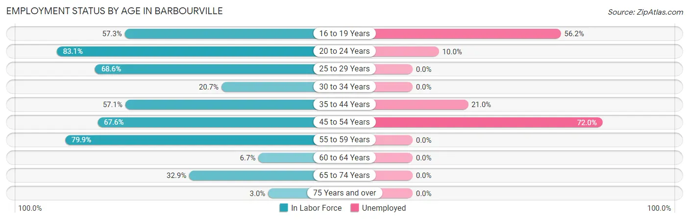 Employment Status by Age in Barbourville