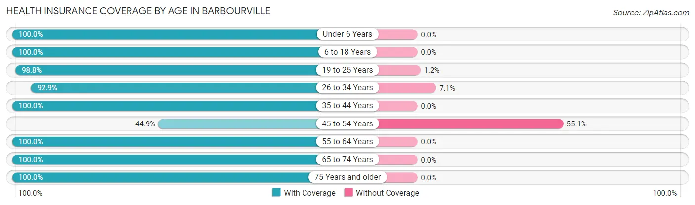 Health Insurance Coverage by Age in Barbourville