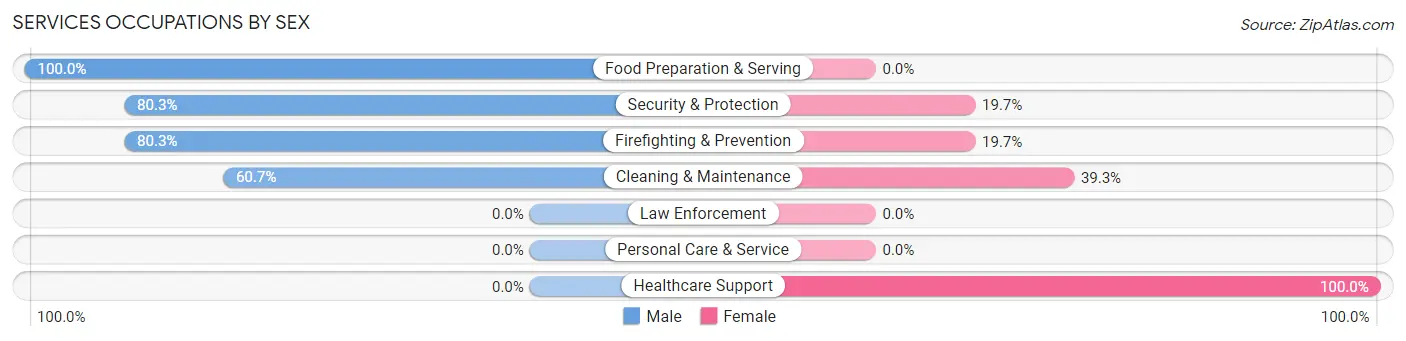 Services Occupations by Sex in Beaver Dam