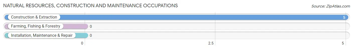 Natural Resources, Construction and Maintenance Occupations in Bedford