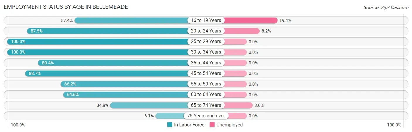 Employment Status by Age in Bellemeade