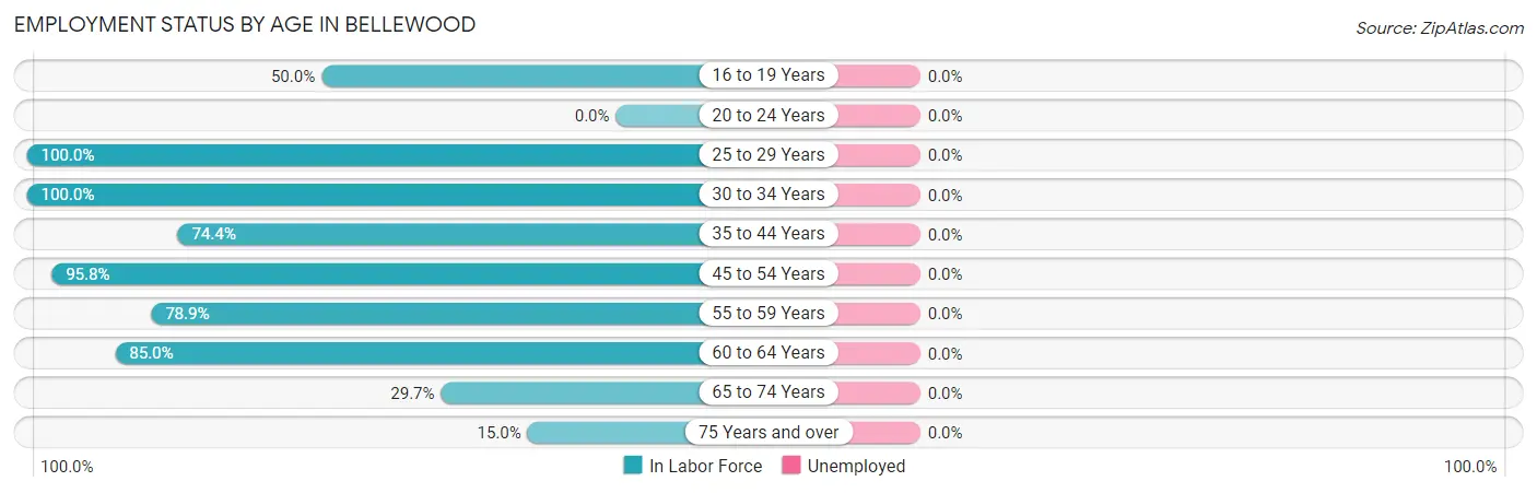 Employment Status by Age in Bellewood