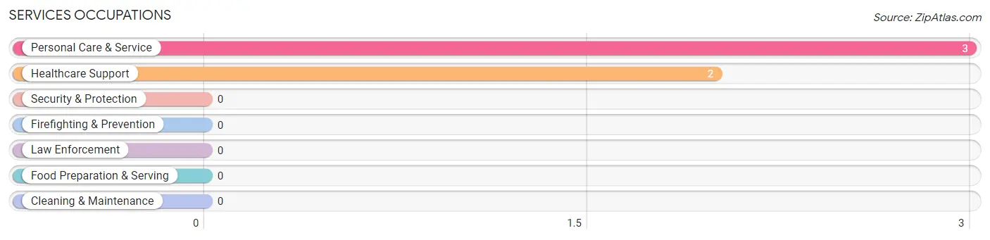 Services Occupations in Bellewood