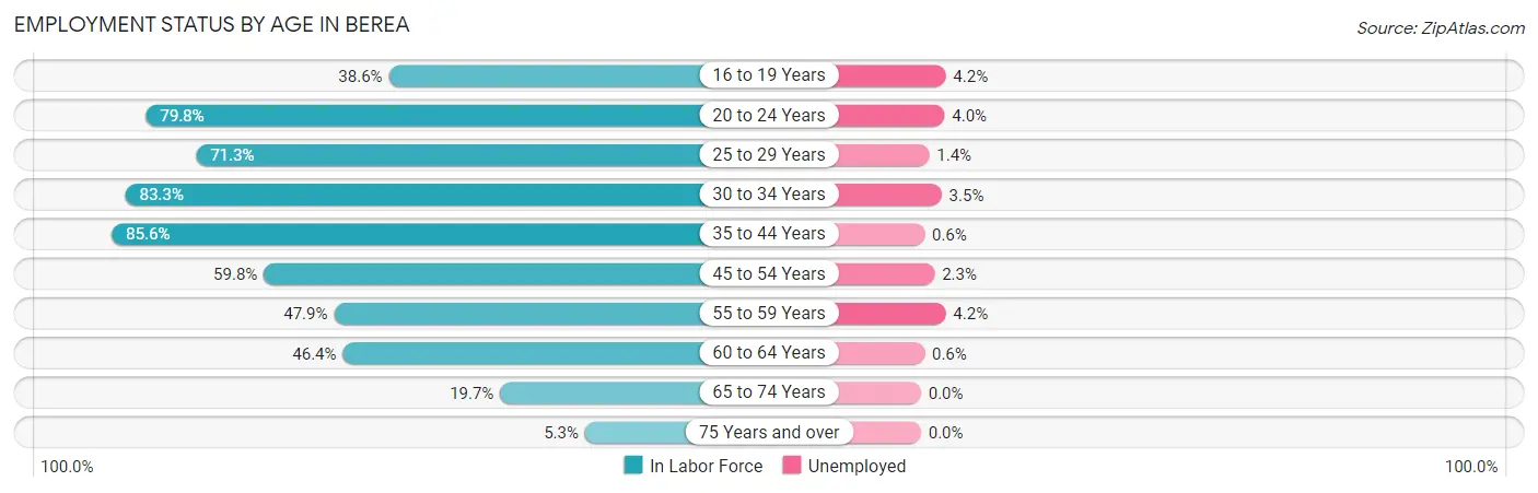 Employment Status by Age in Berea