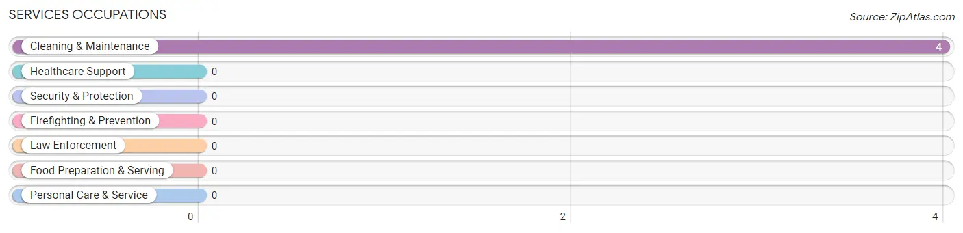 Services Occupations in Blackey