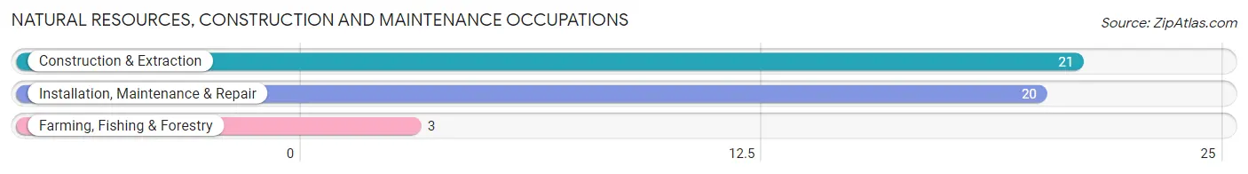 Natural Resources, Construction and Maintenance Occupations in Bloomfield