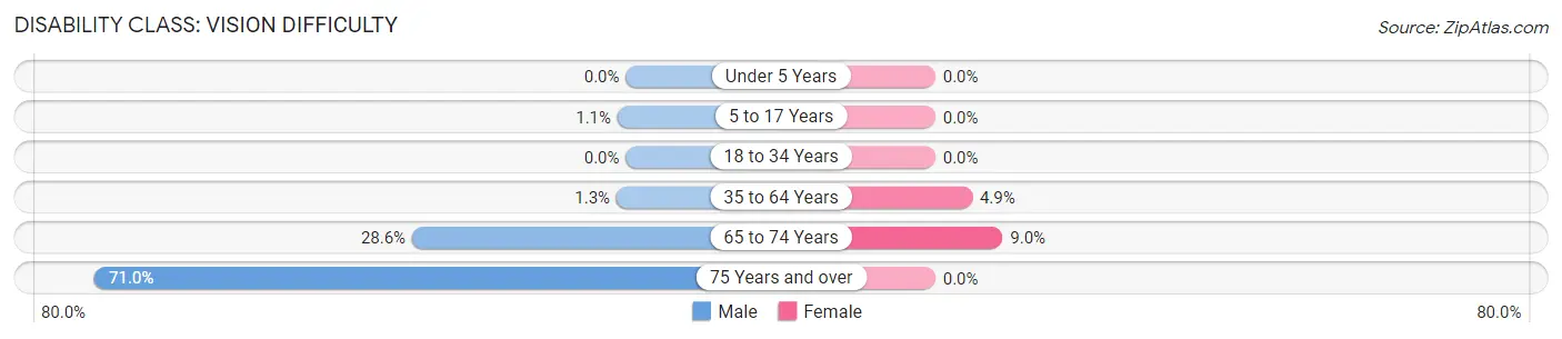 Disability in Bloomfield: <span>Vision Difficulty</span>