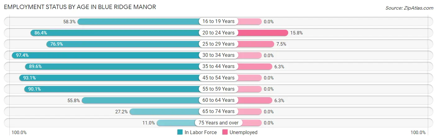 Employment Status by Age in Blue Ridge Manor