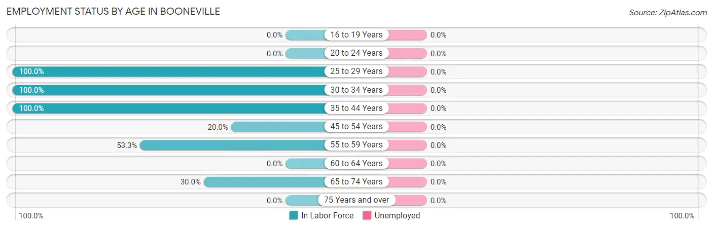 Employment Status by Age in Booneville