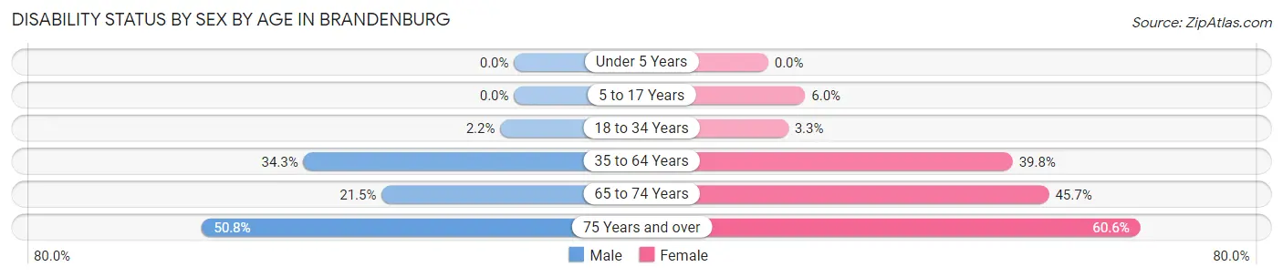Disability Status by Sex by Age in Brandenburg