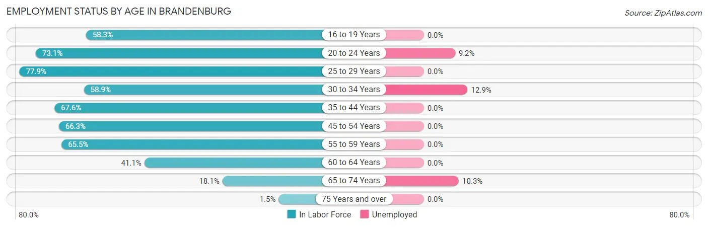 Employment Status by Age in Brandenburg
